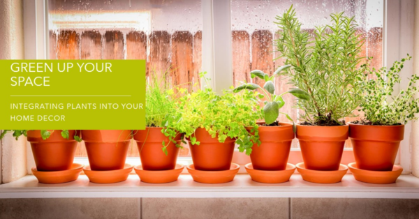 Integrating Plants into Your Home Decor