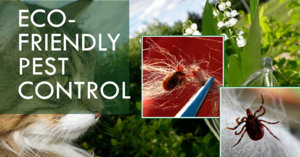 Sustainable Pest Management Practices